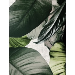 Репродукция на холсте 75x100 см "Сочные листья"