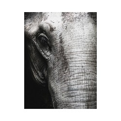 Репродукция на холсте 60x80 см "Слон 2"